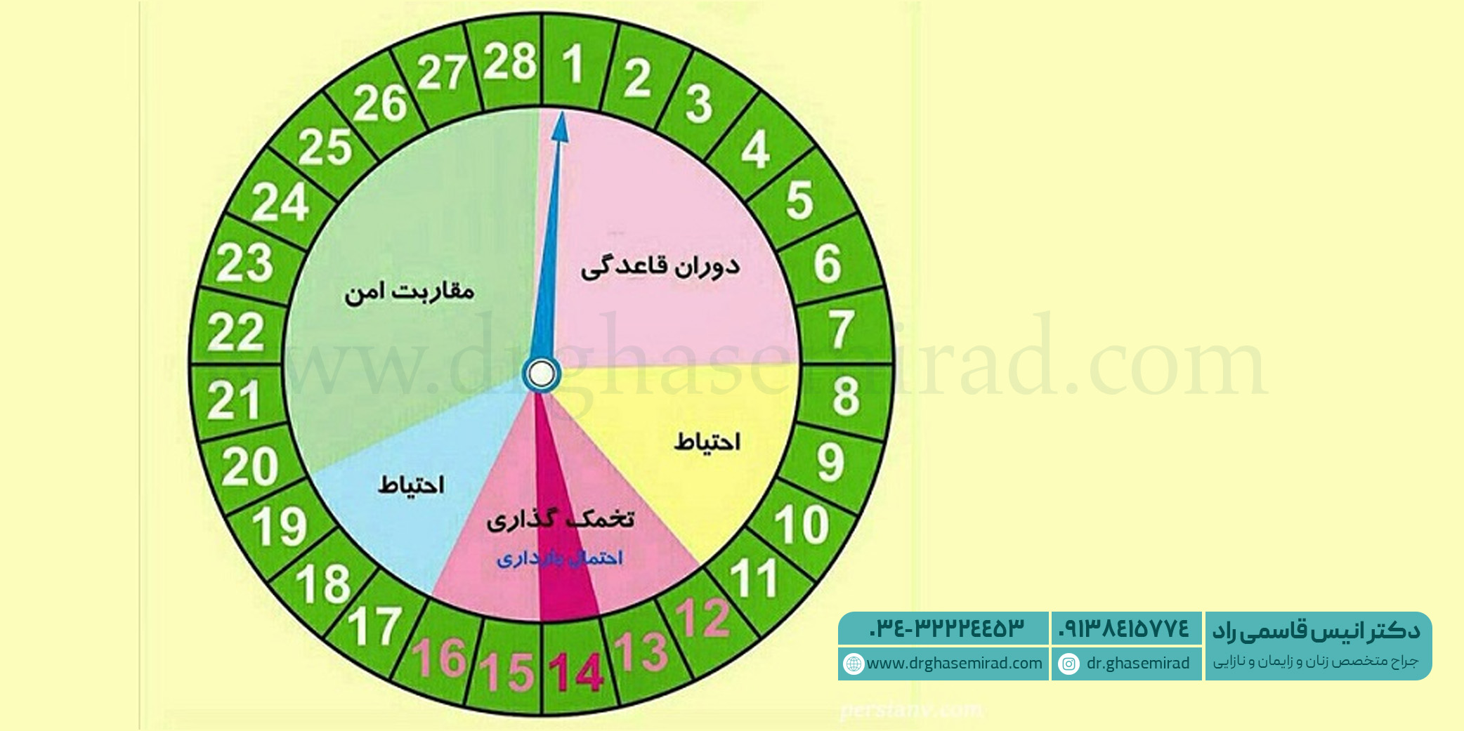 سیکل تخمک گذاری زنان